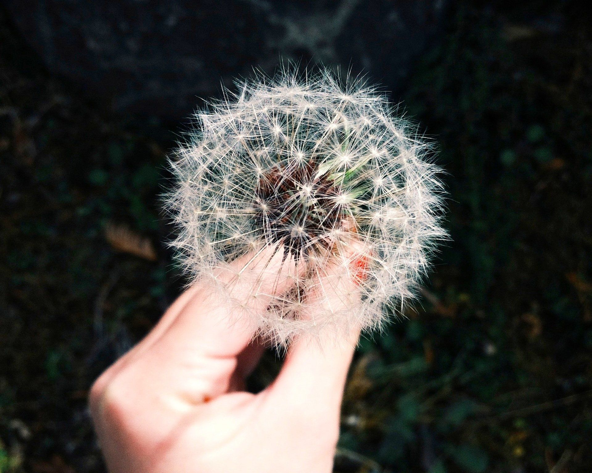 Allergy Treatment